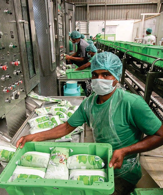 ISO 22000 and FSSC 22000 in Dairy Plants